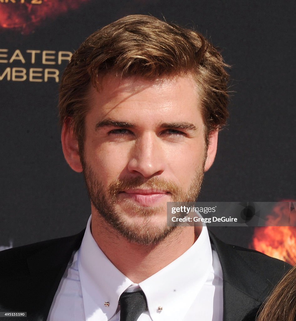 Mockingjay Hand Sign Actor Liam Hemsworth poses at