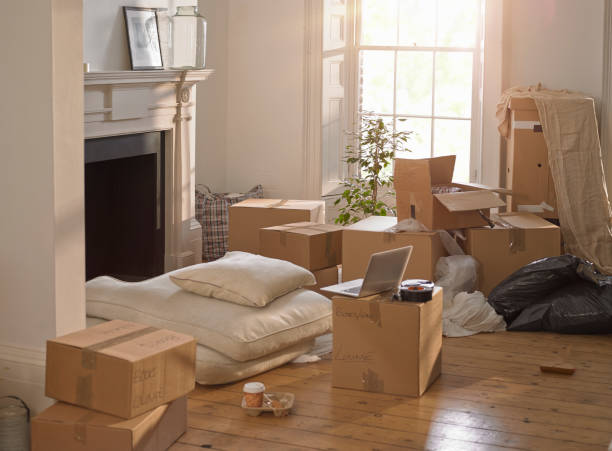Where to Buy Moving Boxes in South Africa? 2 a room full of packing boxes and a laptop