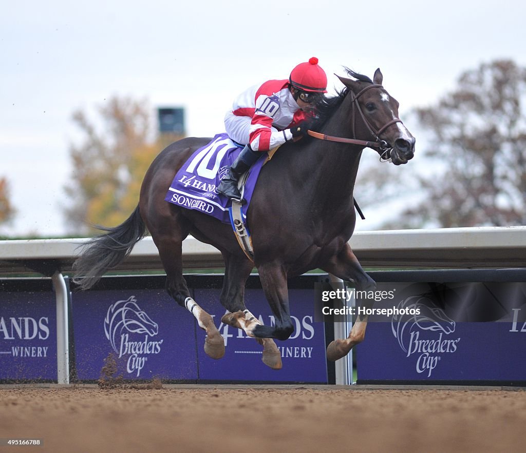 Breeders' Cup - Day 2