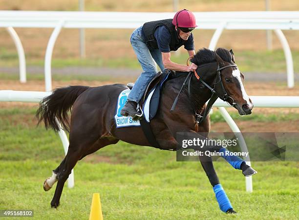 The Sir Michael Stoute trained Snow Sky works during a trackwork session for international horses competing in the 2015 Melbourne Cup, at Werribee...
