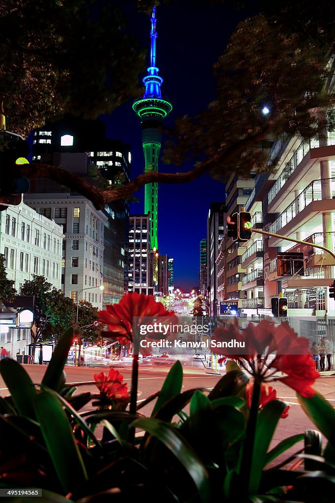 Auckland Sky Tower in full glory