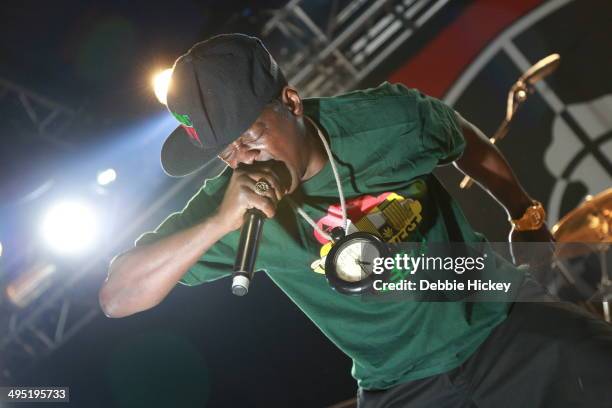 Flavor Flav of Public Enemy performs at day 2 of the Forbidden Fruit festival at Royal Hospital Kilmainham on June 1, 2014 in Dublin, Ireland.