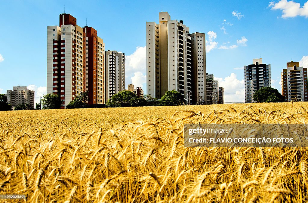 City Londrina Brazil