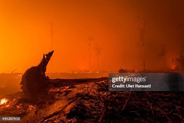 View of a land as peatland forest is cleared by burning for a palm oil plantation at a company's grounds on November 1, 2015 in the outskirts of...