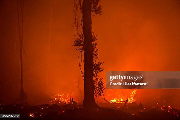 View of a land as peatland forest is cleared by burning for a palm oil plantation at a company's grounds November 1, 2015 in the outskirts of...