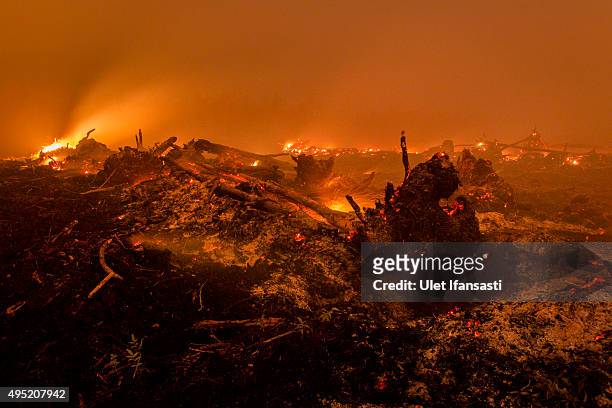 View of burned stumps as peatland forest is cleared by burning for a palm oil plantation at a company's grounds on November 1, 2015 in the outskirts...