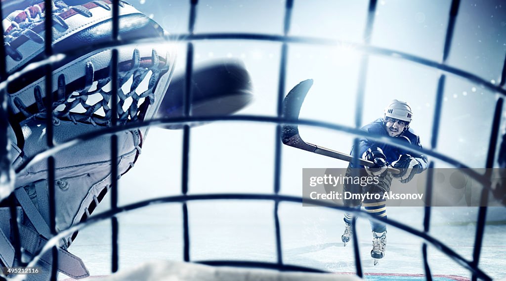 Ice Hockey Goalie view