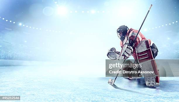 ice hockey goalie - hockey stadium stock pictures, royalty-free photos & images