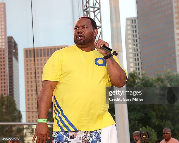 Raekwon of Wu-Tang Clan performs during the Free Press Summer Fest at Eleanor Tinsley Park on June 1, 2014 in Houston, Texas.