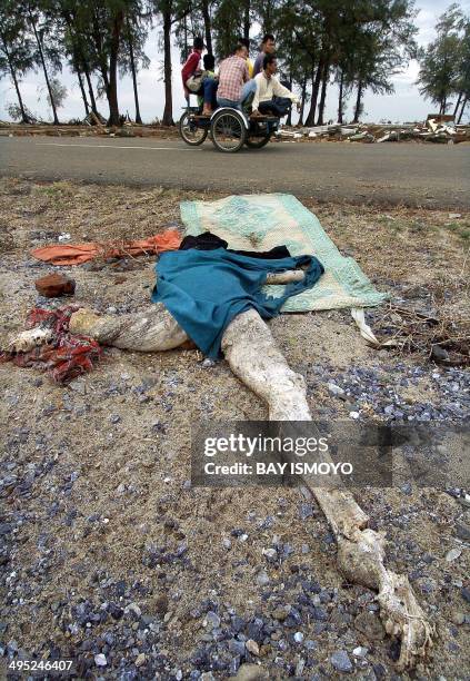 Dried body lies next to a road as locals travelling by Acehnese pedicab pass by in Lhok Nga, 10 January 2005. The United Nations said 10 January it...