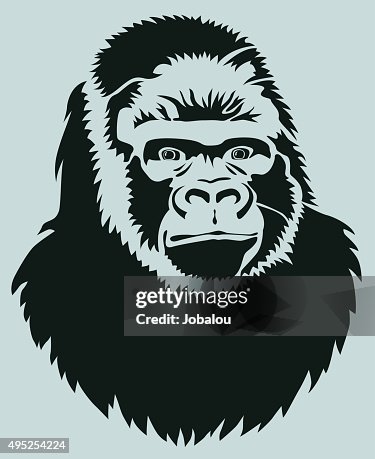 Stylized Head Gorilla Stylized Head Gorilla