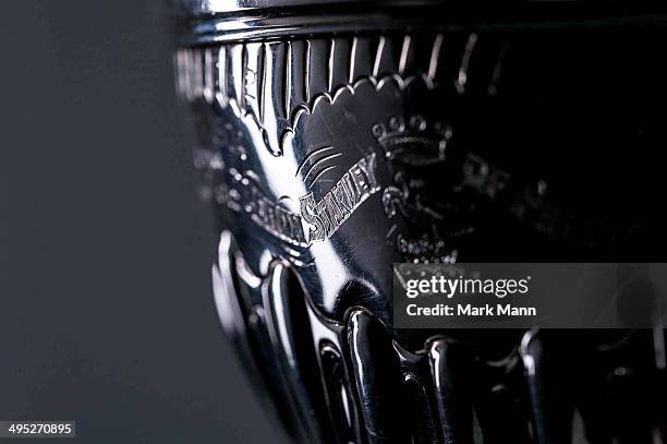 822 Stanley Cup Close Up Stock Photos, High-Res Pictures, and Images -  Getty Images
