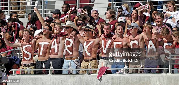 Mississippi State Bulldogs fans cheer during the second half of an NCAA college football game against the Louisiana Tech Bulldogs at Davis Wade...