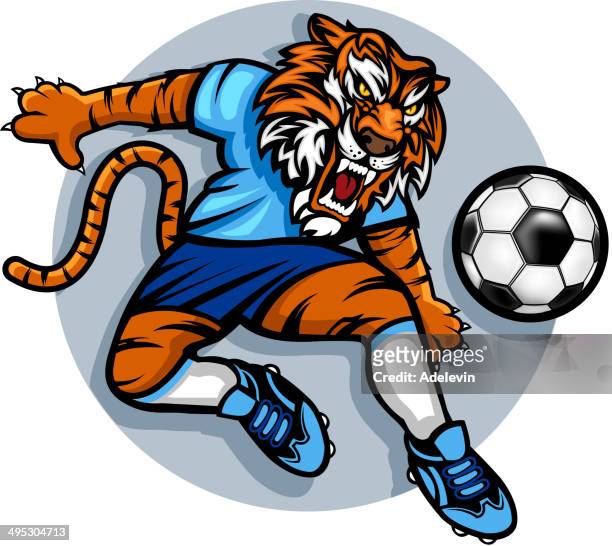 Ilustrações de stock, clip art, desenhos animados e ícones de Futebol  Mulher - Getty Images