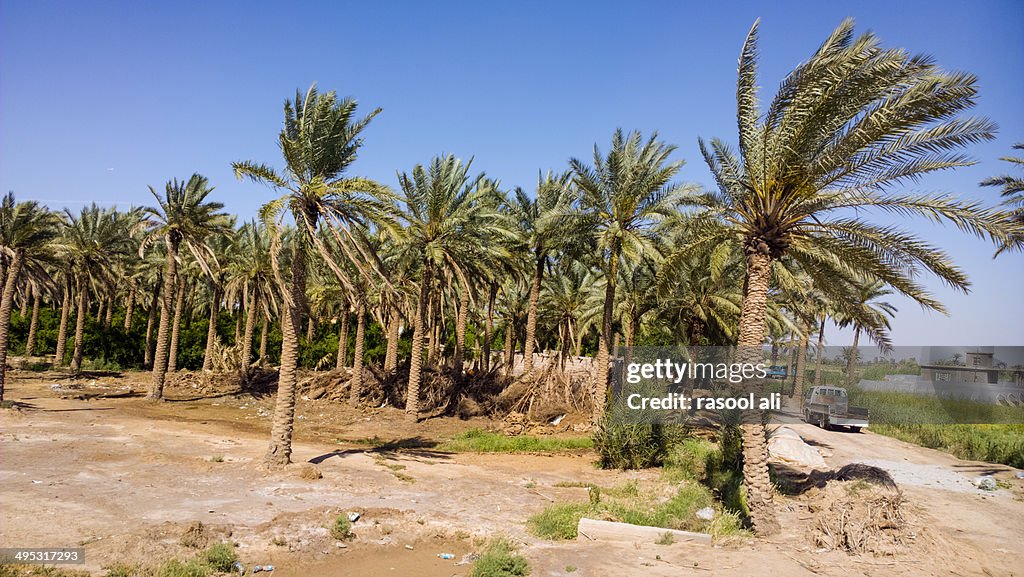 Iraqi countryside