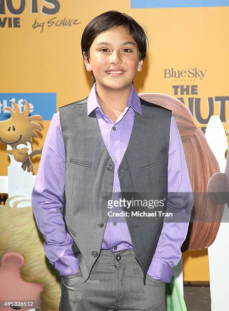Noah Johnston arrives at the Los Angeles premiere of 20th Century Fox's "The Peanuts Movie" held at Regency Village Theatre on November 1, 2015 in...