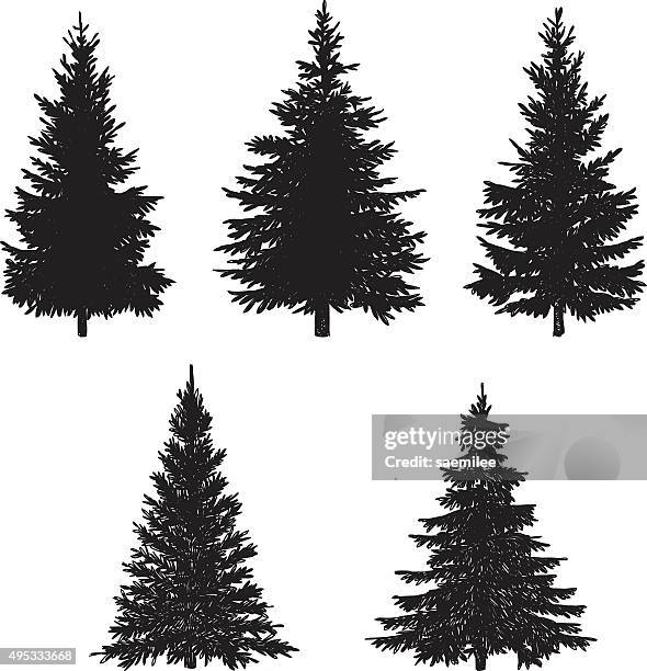 illustrations, cliparts, dessins animés et icônes de ensemble de pin - pine trees