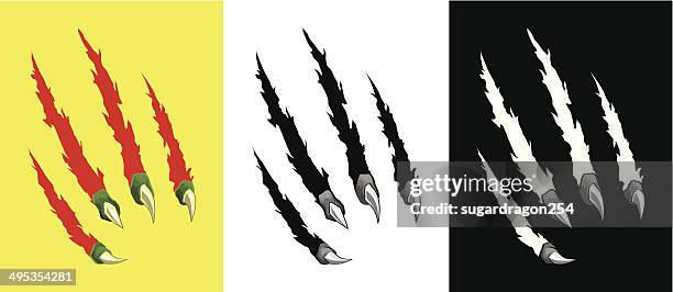 scratch claw hole vector set - claw stock illustrations