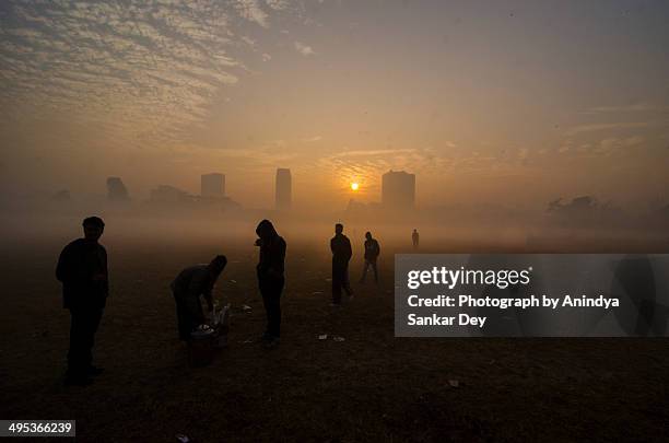 morning tea - misty wintry morning kolkata sunrise - kolkata 個照片及圖片檔