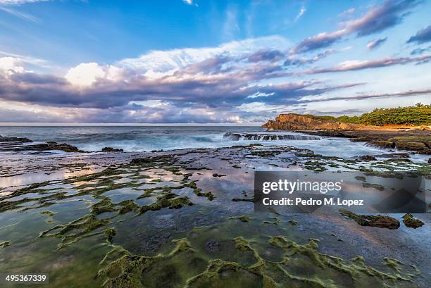 hues of blues and greens surround me - arecibo stock-fotos und bilder