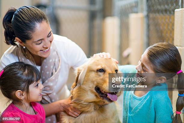 pet adoption - animal shelter stock pictures, royalty-free photos & images