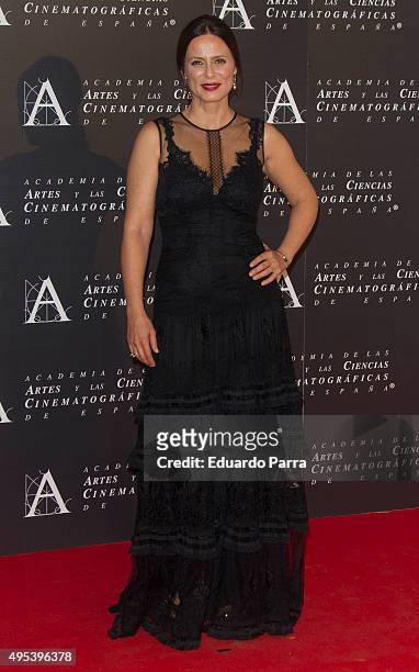 Actress Aitana Sanchez Gijon attends the Golden Medal 2015 ceremony at Academia de Cine on November 2, 2015 in Madrid, Spain.