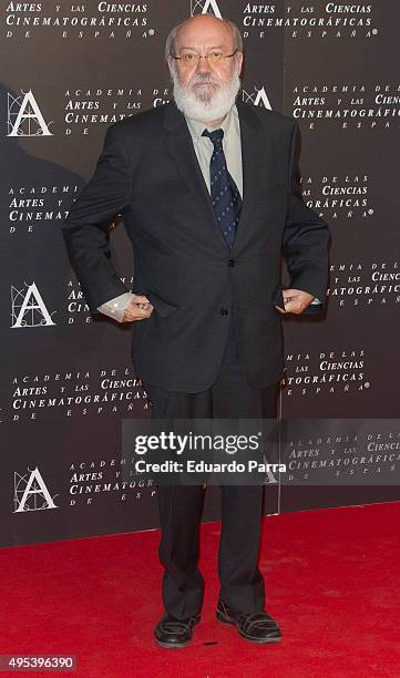 Director Jose Luis Cuerda attends the Golden Medal 2015 ceremony at Academia de Cine on November 2, 2015 in Madrid, Spain.