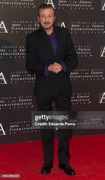 Actor Juan Diego attends the Golden Medal 2015 ceremony at Academia de Cine on November 2, 2015 in Madrid, Spain.