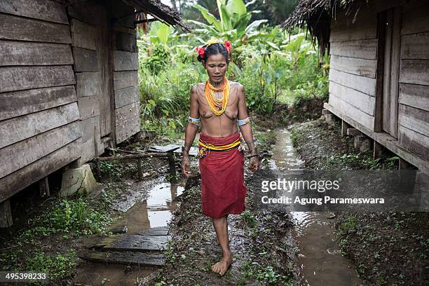 Mentawanese woman, Bai LauLau walks to collect flowers on May 26, 2014 in Butui Village, Siberut Island, West Sumatra, Indonesia. Sikerei is the...