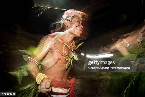 Mentawanese men of Sikerei perform Lajo Simagre to welcome ancestors in their house during Inauguration Ritual for Aman Gotdai as a New Sikerei on...