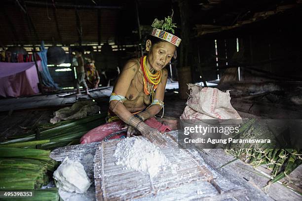 Mentawanese woman, Bai LauLau, prepares sagoo to cook during Inauguration Ritual preparation for Aman Gotdai as a New Sikerei on May 25, 2014 in...