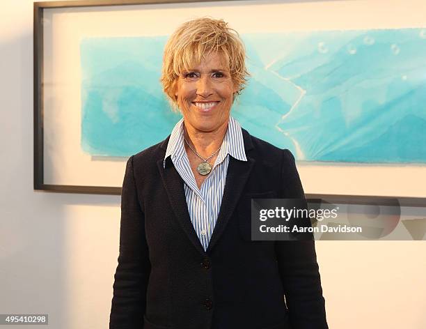 Diana Nyad signs copies of her book "Find A Way" at Miami Dade College on November 2, 2015 in Miami, Florida.