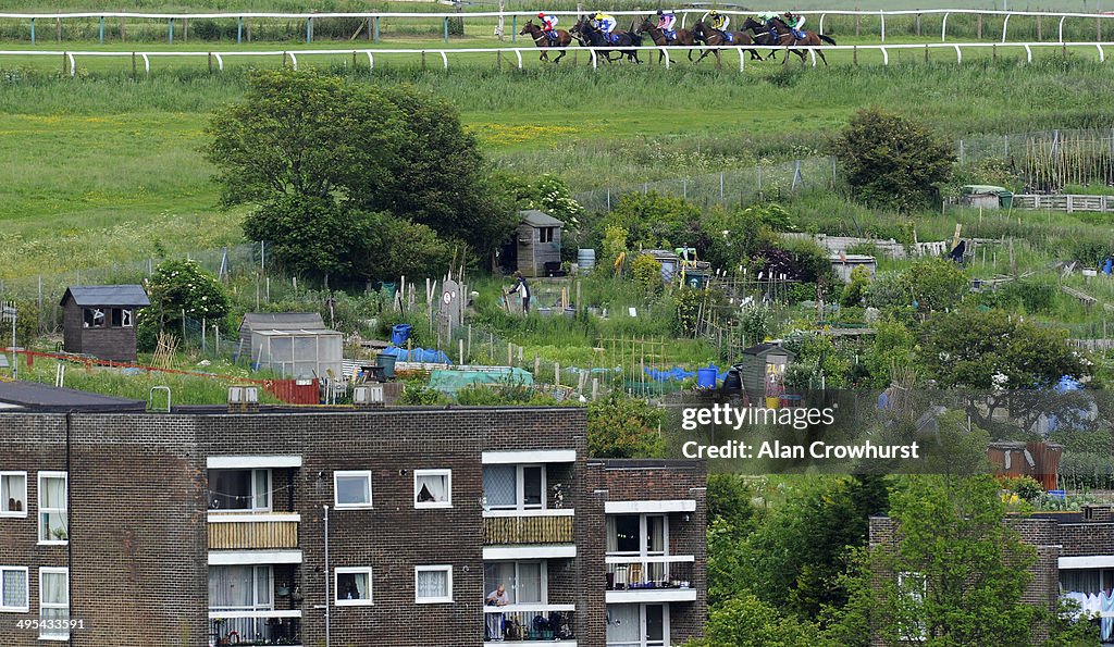 Brighton Races