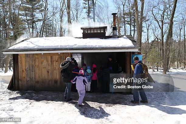 Dan Theobald, right, with a group of students from the Sam Placentino Elementary School from Holliston entering the sugaring shack at the Moose Hill...