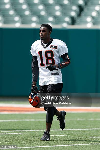 Green of the Cincinnati Bengals jogs on the field during an organized team activity workout at Paul Brown Stadium on June 3, 2014 in Cincinnati, Ohio.