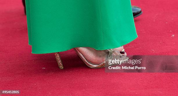 Queen Maxima of The Netherlands arrives at the Loo Palace for dinner on June 3, 2014 in Apeldoorn, Netherlands.