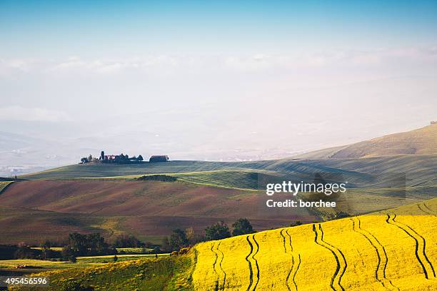 toscana i campi - colza foto e immagini stock