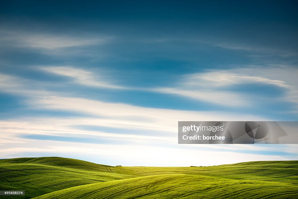 Tuscany Field