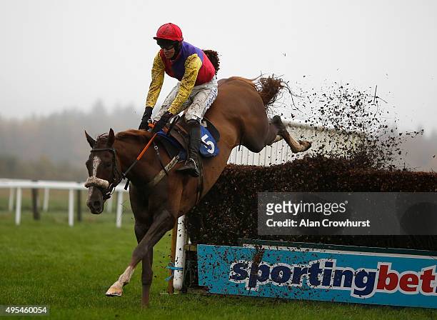 Brendan Powell riding Native River clear the last to win The Vix Technology Novices' Steeple Chase at Exeter racecourse on November 03, 2015 in...