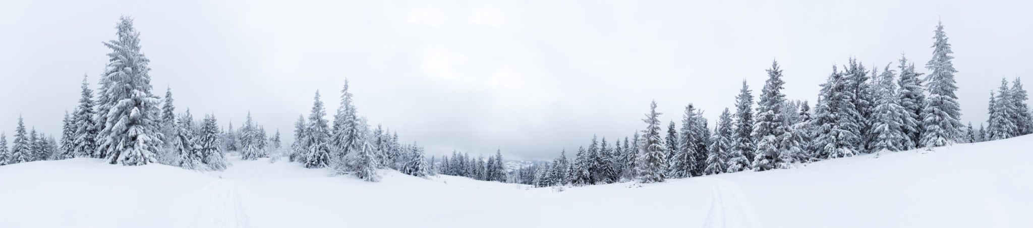 white mountains scenery