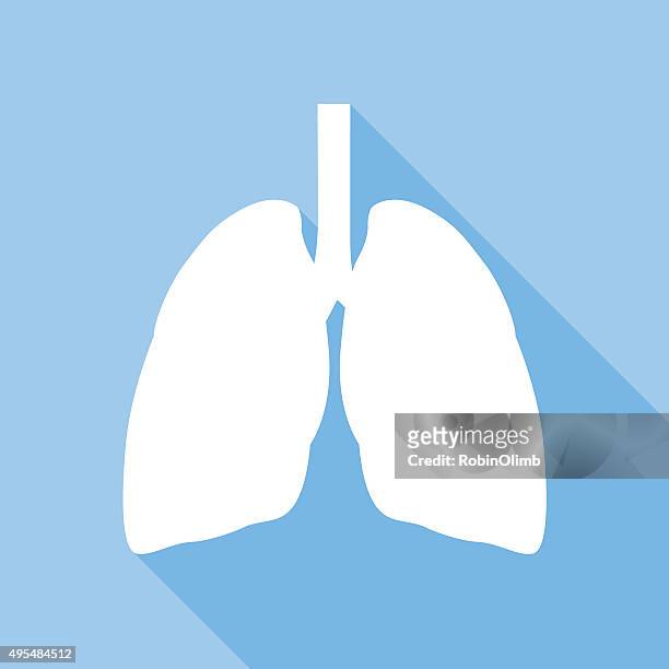 lungs icon - bronchitis stock illustrations