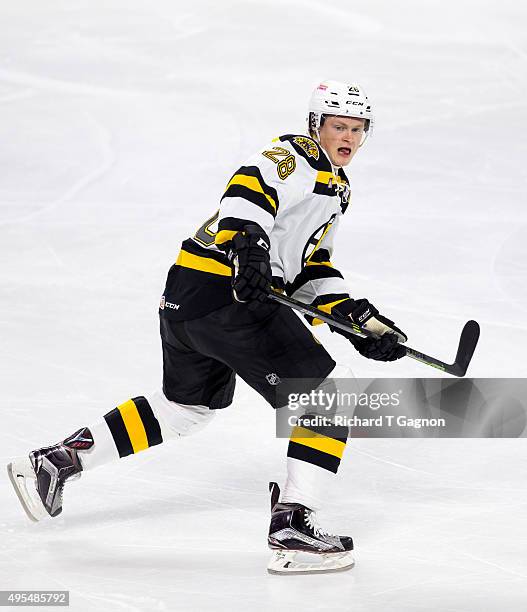 Linus Arnesson of the Providence Bruins skates against the Springfield Falcons during an American Hockey League game at the Dunkin' Donuts Center on...