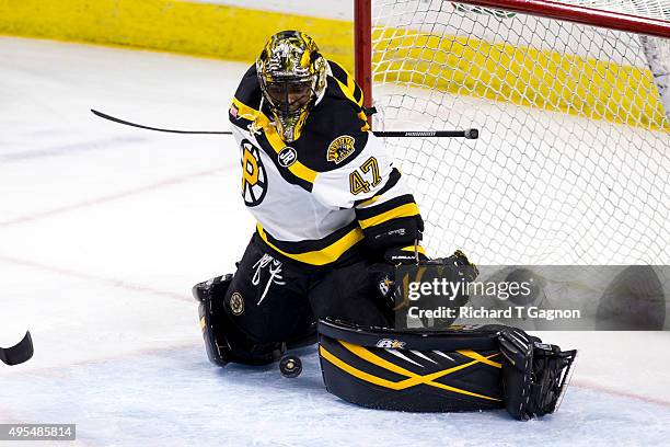 Malcolm Subban of the Providence Bruins makes a save during an American Hockey League game against the Springfield Falcons at the Dunkin' Donuts...