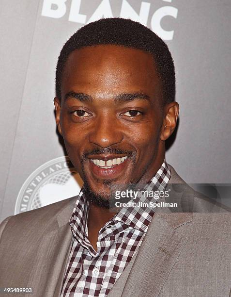 Actor Anthony Mackie attends the 23rd Annual Montblanc De La Culture Arts Patronage Award Honoring Jane Rosenthal at Stephan Weiss Studio on June 3,...