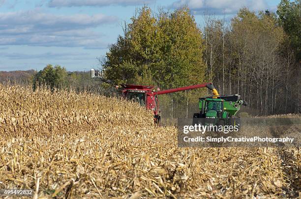 farmers combining corn - john deere bildbanksfoton och bilder