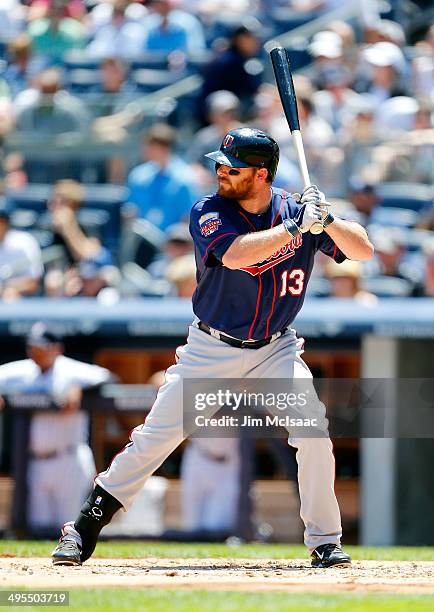 Jason Kubel of the Minnesota Twins in action against the New York Yankees at Yankee Stadium on June 1, 2014 in the Bronx borough of New York City....