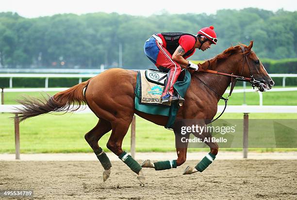 Kentucky Derby and Preakness winner California Chrome, with exercise rider Willie Delgado up, trains on the main track at Belmont Park on June 4,...