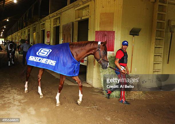 Kentucky Derby and Preakness winner California Chrome, with exercise rider Willie Delgado walks in his barnafter training on the main track at...