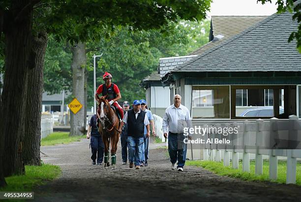 Kentucky Derby and Preakness winner California Chrome, with exercise rider Willie Delgado up and lead by assistant trainer Alan Sherman heads to his...