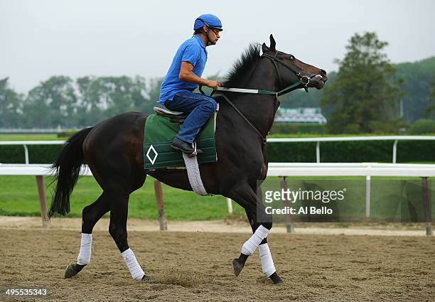 Matuszak with exercise rider Jose Canallas up, trains on the main track at Belmont Park on June 4, 2014 in Elmont, New York He is scheduled to race...